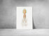 large vintage squid print wall art